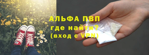 меф Арсеньев