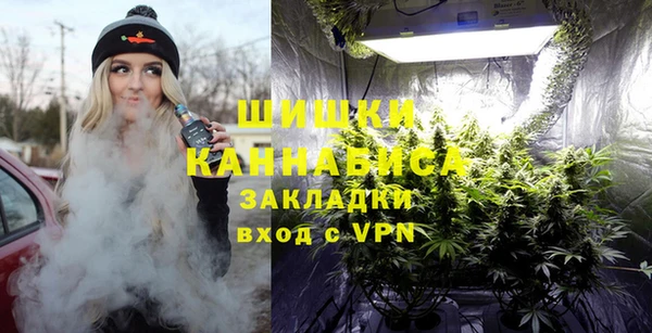 PSILOCYBIN Армянск