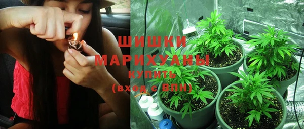 PSILOCYBIN Армянск