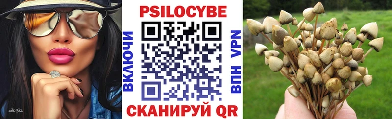 Псилоцибиновые грибы мицелий  hydra ONION  Белорецк  купить  